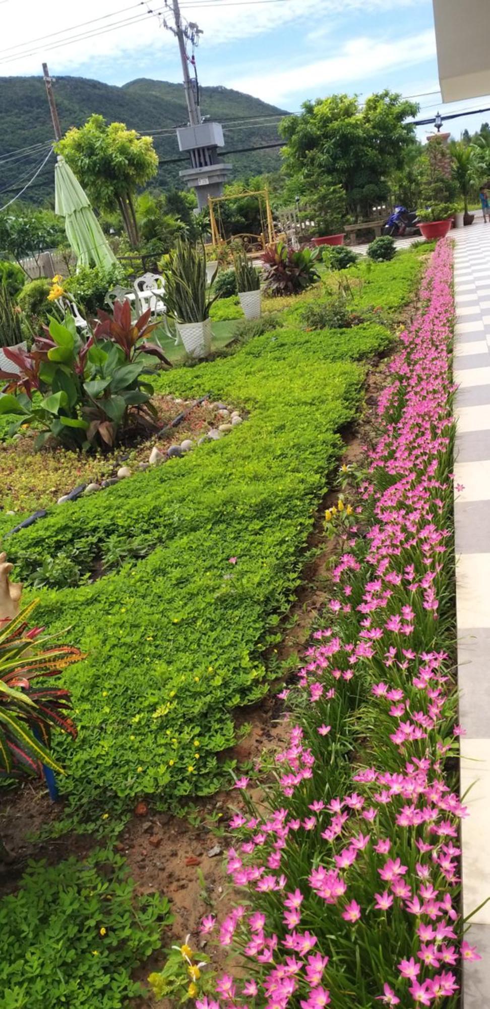 Aparthotel Garden House Con Dao Chi Khu Co Ong Exteriér fotografie